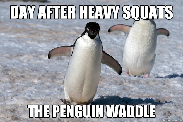 day after heavy squats the penguin waddle  Leg Day