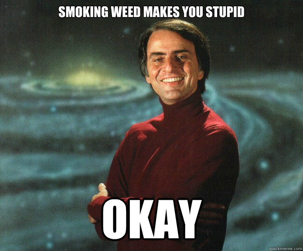 SMOKING WEED MAKES YOU STUPID OKAY - SMOKING WEED MAKES YOU STUPID OKAY  Misc