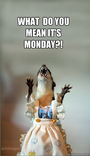 What  do you mean it's MONDAY?!  Juanita Weasel