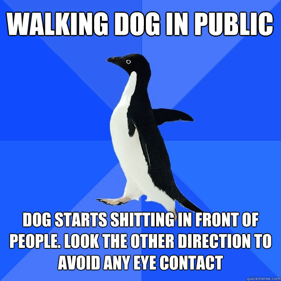 WALking dog in public dog starts shitting in front of people. look the other direction to avoid any eye contact  Socially Awkward Penguin
