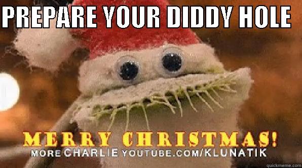 PREPARE YOUR DIDDY HOLE    Misc