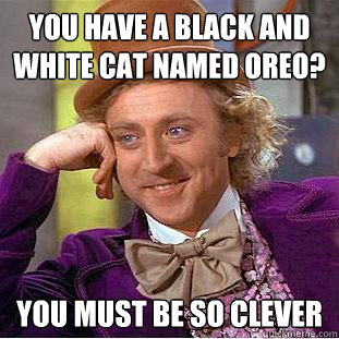 you have a black and white cat named oreo? you must be so clever  Condescending Wonka