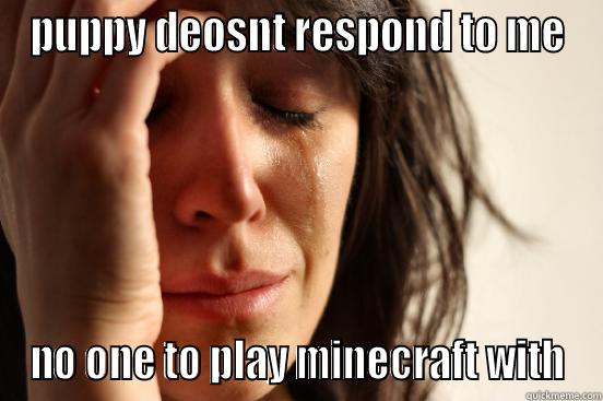 PUPPY DEOSNT RESPOND TO ME NO ONE TO PLAY MINECRAFT WITH First World Problems