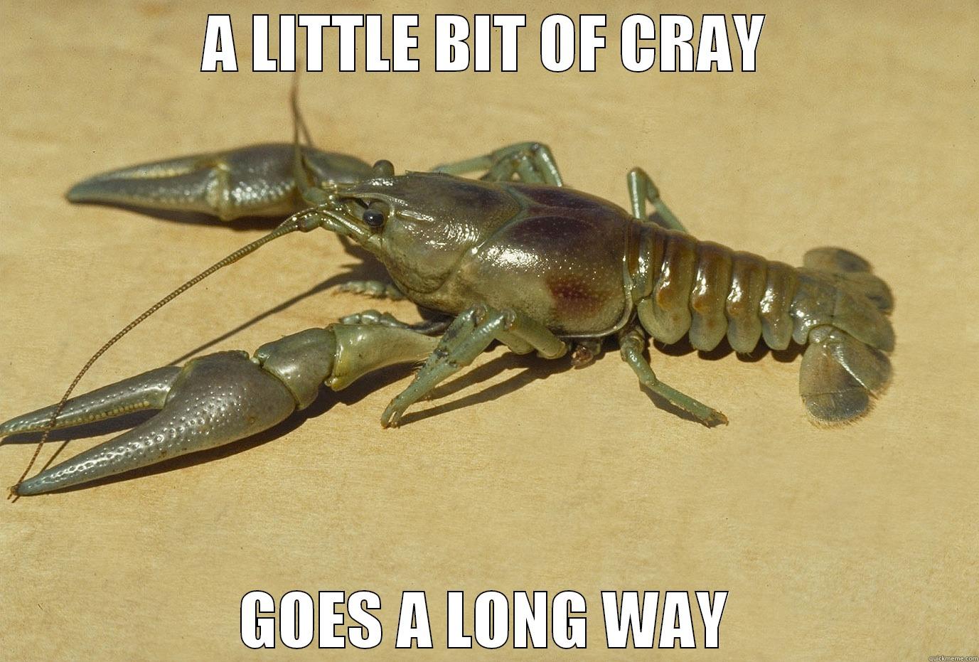 A LITTLE BIT OF CRAY GOES A LONG WAY Misc