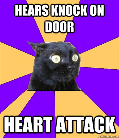 HEARS KNOCK ON DOOR HEART ATTACK  Anxiety Cat