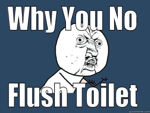 WHY YOU NO FLUSH TOILET Y U No