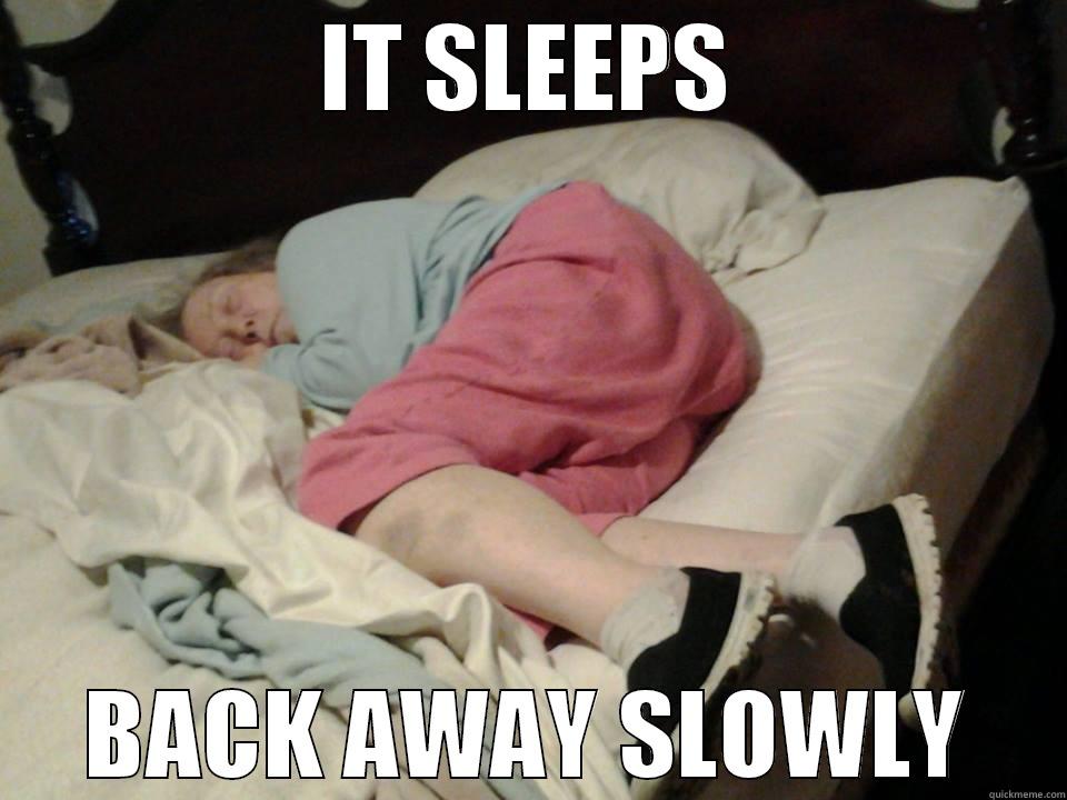 IT SLEEPS BACK AWAY SLOWLY Misc