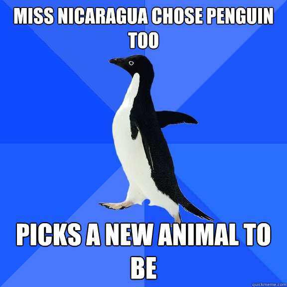 Miss nicaragua chose penguin too picks a new animal to be  Socially Awkward Penguin