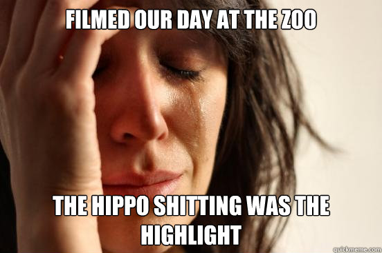 filmed our day at the zoo the hippo shitting was the highlight  First World Problems