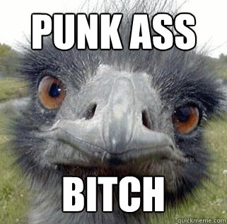 PUNK ASS BITCH - PUNK ASS BITCH  Seeing Ostrich