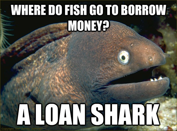 Where do fish go to borrow money? A loan shark - Where do fish go to borrow money? A loan shark  Misc