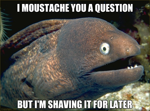 I moustache you a question But I'm shaving it for later  Bad Joke Eel