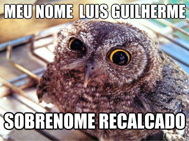 Meu Nome é Luis guilherme Sobrenome Recalcado  Skeptical Owl