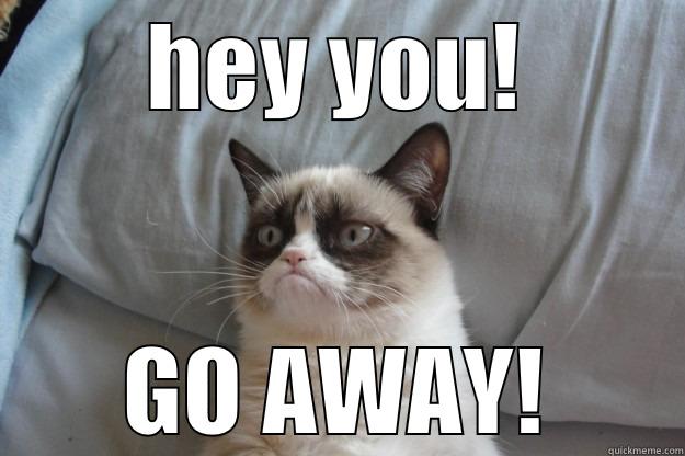 HEY YOU! GO AWAY! Grumpy Cat