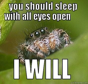 YOU SHOULD SLEEP WITH ALL EYES OPEN        I WILL Misunderstood Spider