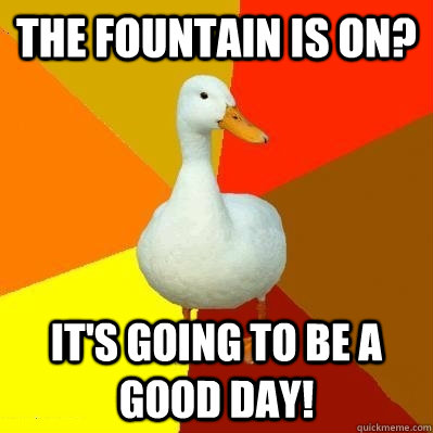 The Fountain is on? It's Going to be a good day!  Tech Impaired Duck