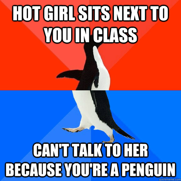 hot girl sits next to you in class can't talk to her because you're a penguin  Socially Awesome Awkward Penguin
