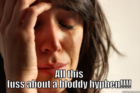 All this fuss about - ALL THIS FUSS ABOUT  A BLODDY HYPHEN!!!! First World Problems