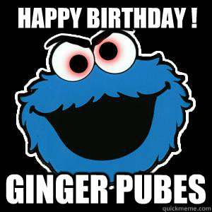 Happy birthday ! Ginger Pubes - Happy birthday ! Ginger Pubes  ginger pubes