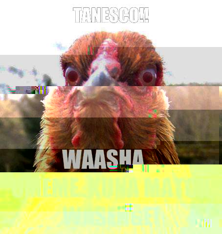 TANESCO!! Waasha umeme..kuna match wasenge!  RageChicken