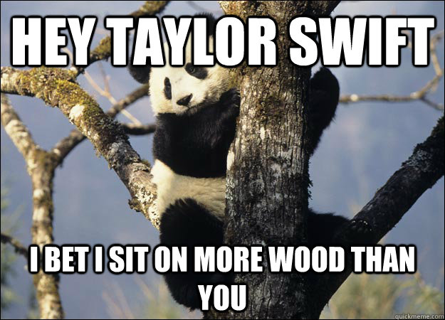 Hey taylor swift I bet I sit on more wood than you  Thug Panda
