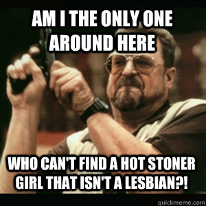 AM I THE ONLY ONE AROUND HERE WHO CAN'T FIND A HOT STONER GIRL THAT ISN'T A LESBIAN?!  