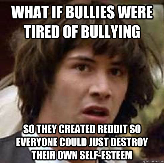What if bullies were tired of bullying so they created reddit so everyone could just destroy their own self-esteem  conspiracy keanu