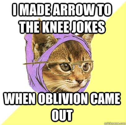 I Made arrow to the knee jokes When Oblivion came out  Hipster Kitty
