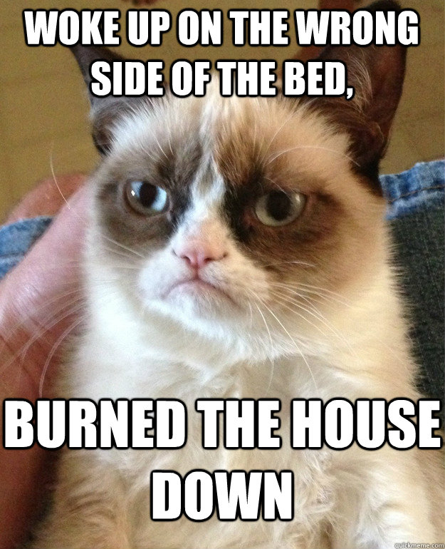woke up on the wrong side of the bed,  burned the house down  - woke up on the wrong side of the bed,  burned the house down   Grumpy Cat