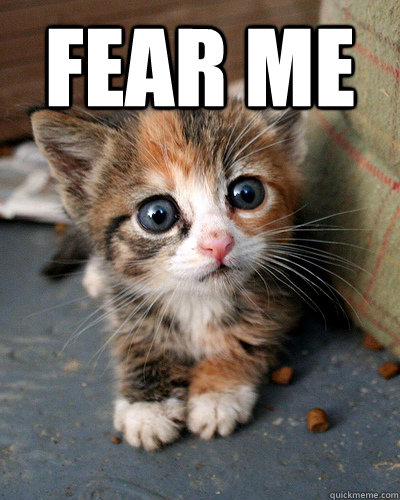 FEAR ME   Thesis Kitten