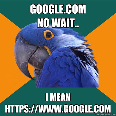 google.com
no wait.. i mean
https://www.google.com  Paranoid Parrot
