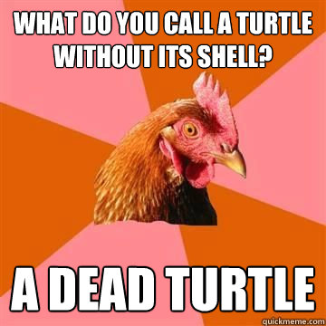 What do you call a turtle without its shell? A dead turtle  - What do you call a turtle without its shell? A dead turtle   Anit Joke Chicken