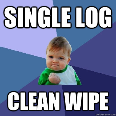 Single log clean wipe  Success Kid