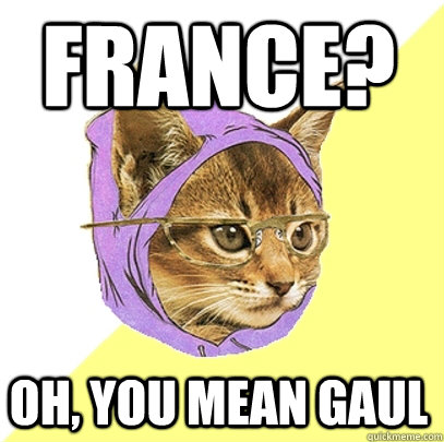 France? Oh, you mean Gaul  Hipster Kitty
