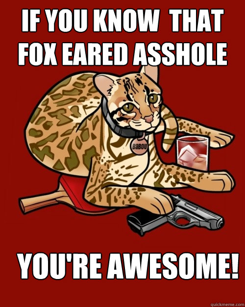 If you know  that fox eared asshole You're Awesome! - If you know  that fox eared asshole You're Awesome!  babou