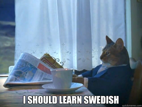  I should learn swedish  The One Percent Cat