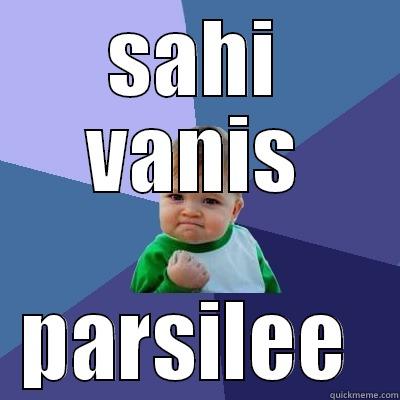 SAHI VANIS PARSILEE  Success Kid