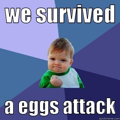  WE SURVIVED    A EGGS ATTACK Success Kid