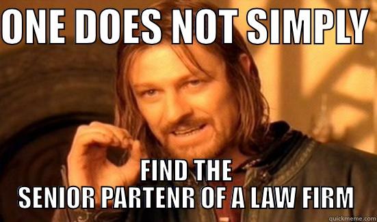 ONE DOES NOT SIMPLY  FIND THE SENIOR PARTENR OF A LAW FIRM Boromir