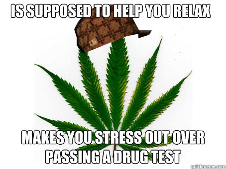 Is supposed to help you relax Makes you stress out over passing a drug test - Is supposed to help you relax Makes you stress out over passing a drug test  Scumbag Marijuana