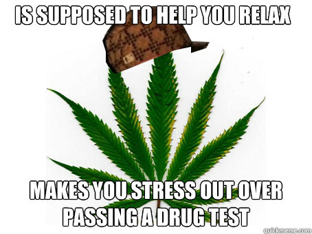 Is supposed to help you relax Makes you stress out over passing a drug test  Scumbag Marijuana
