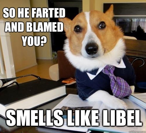 SO HE farted and blamed you? Smells like libel - SO HE farted and blamed you? Smells like libel  Lawyer Dog