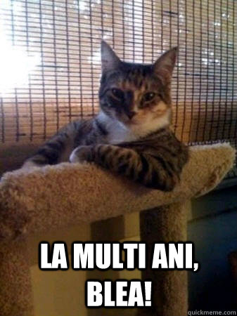  La multi ani, blea!  The Most Interesting Cat in the World