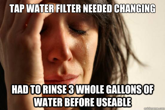 Tap water filter needed changing had to rinse 3 whole gallons of water before useable  First World Problems