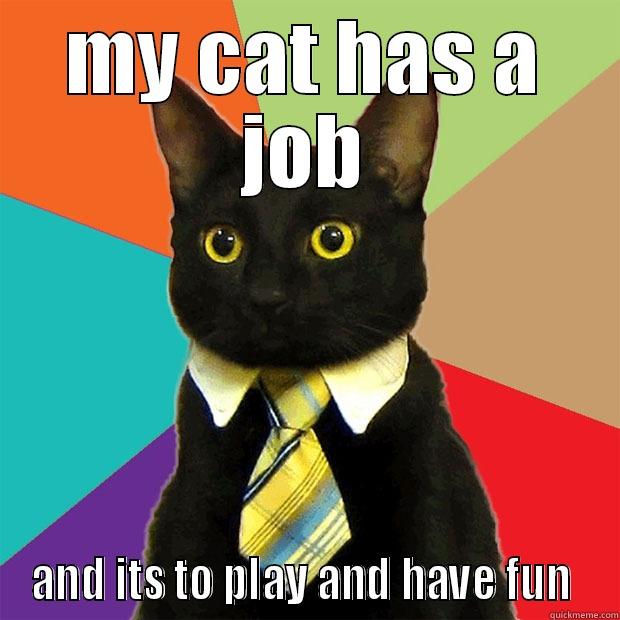 MY CAT HAS A JOB AND ITS TO PLAY AND HAVE FUN  Business Cat