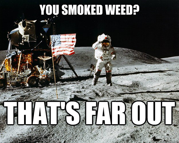 You Smoked Weed? That's far out  Unimpressed Astronaut