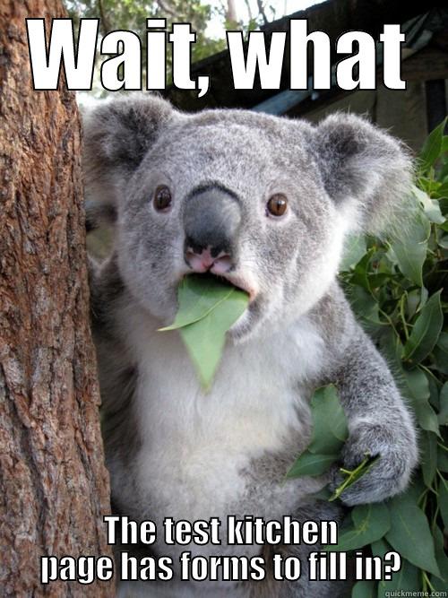 WAIT, WHAT THE TEST KITCHEN PAGE HAS FORMS TO FILL IN? koala bear