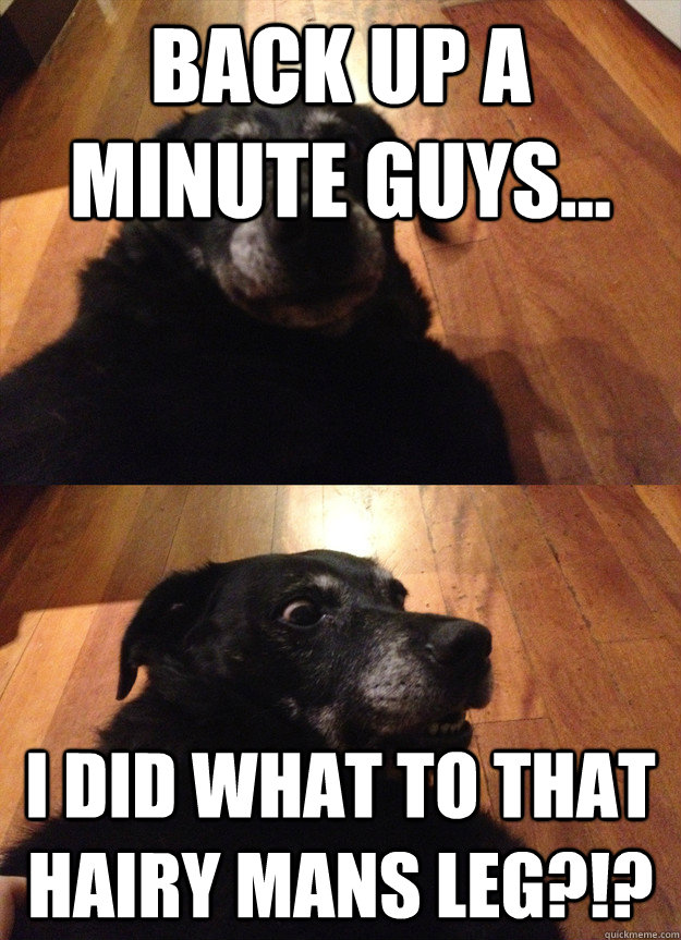 back up a minute guys... i did what to that hairy mans leg?!?  suddenly sober dog