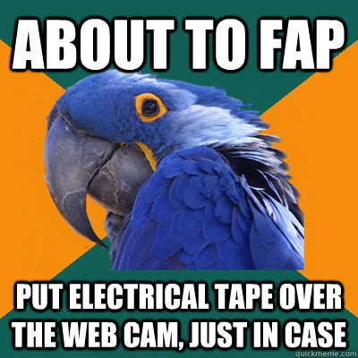 About to fap put electrical tape over the web cam, just in case  Paranoid Parrot
