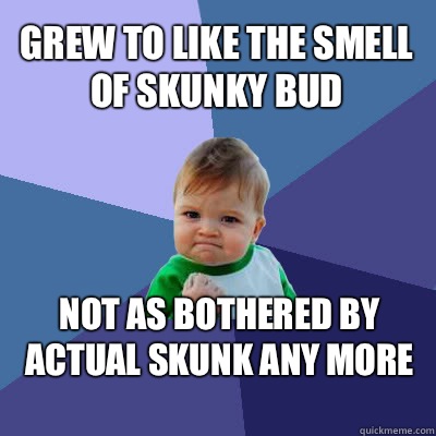 Grew to like the smell of skunky bud Not as bothered by actual skunk any more   Success Baby